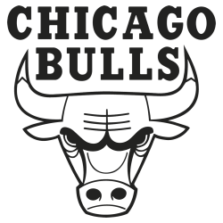 chicago bulls