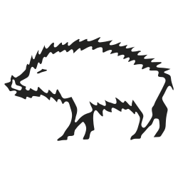 sanglier