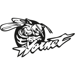 Sticker Honda hornet 2