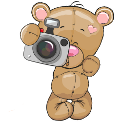 Autocollant Ours En Peluche Mignon 11