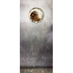 Sticker Porte Jurassic Park