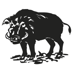 sanglier
