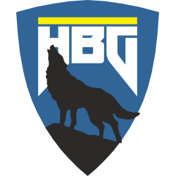 Autocollant Husaberg Logo