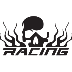 Sticker Tête de Mort 5