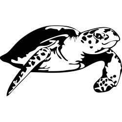 Sticker Tortue 4