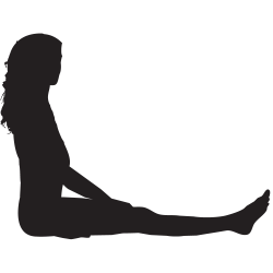 Silhouette Femme Sexy 45