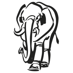 elephant