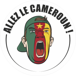 Football Allez Le Cameroun