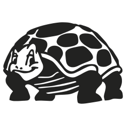 TORTUE