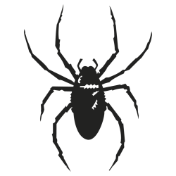 araignée