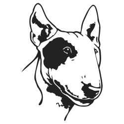 chien bull terrier