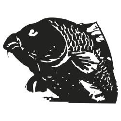 sticker adhesif Carpe