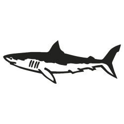 requin