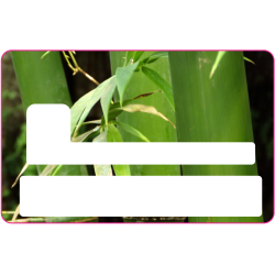 Sticker CB Bambou - Skin pour Carte Bancaire
