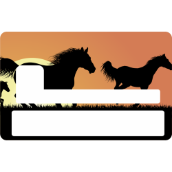 Sticker Cb Chevaux - Skin Pour Carte Bancaire