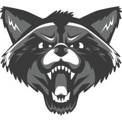 Autocollant Raton Laveur