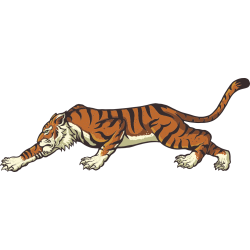 Autocollant Tigre 2