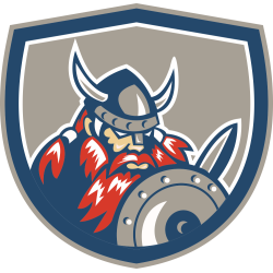 Autocollant Viking Bouclier