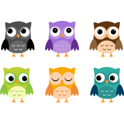 Autocollant Kit Chouette Couleur