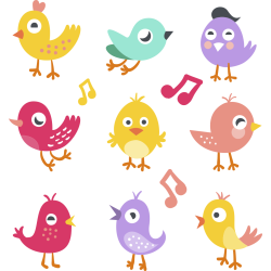 Autocollant Kit Oiseau Couleur