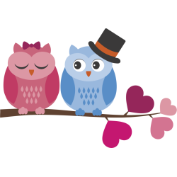 Autocollant Chouette Branche Chapeau