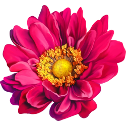 Autocollants Fleur Rose