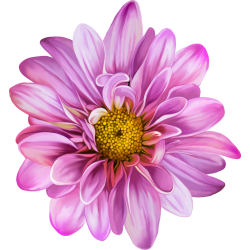 Autocollants Fleur Rose 2