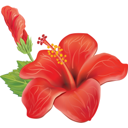 Autocollants Fleur Tropical 1