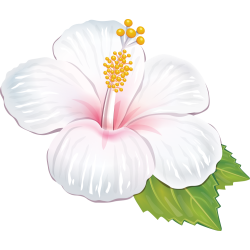 Autocollants Fleur Tropical 2