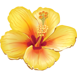 Autocollants Fleur Tropical 4