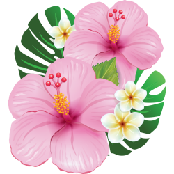 Autocollants Fleur Tropical 5