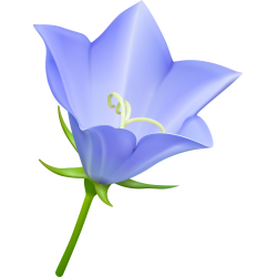 Autocollants Fleur Bleue