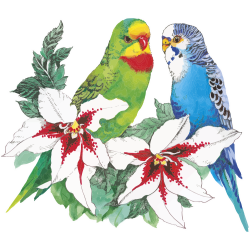 Autocollants Fleur Perroquets Tropical