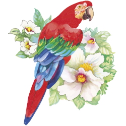 Autocollants Fleur Perroquet Tropical