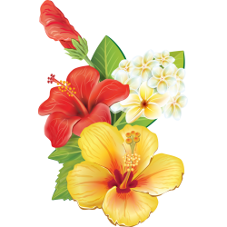 Autocollants Fleur Tropical 7