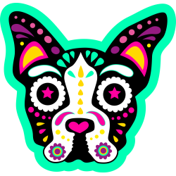 Autocollant Chien Skull Coloré Vert