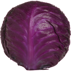 Autocollant Fruits et legumes Chou rouge