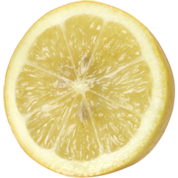 Autocollant Fruits et legumes Citron