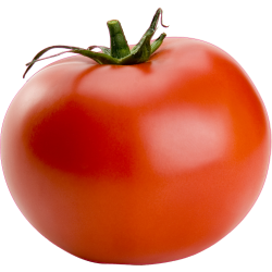 Autocollant Fruits et legumes Tomate