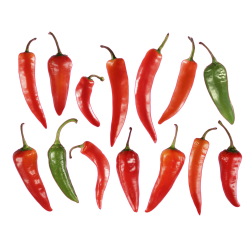 Autocollant Fruits et legumes Piments