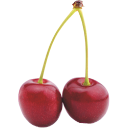 Autocollant Fruits et legumes cerise