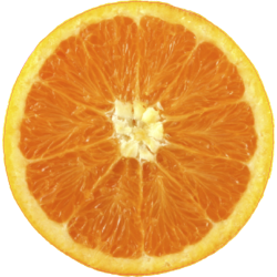 Autocollant Fruits et legumes Orange