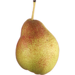 Autocollant Fruits et legumes Poire