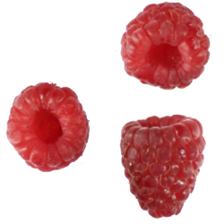 Autocollant Fruits et legumes Framboises