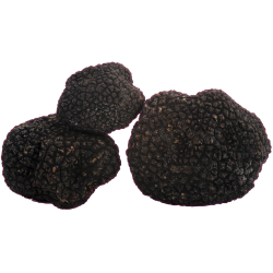 autocollants champignons