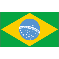 Drapeau Bresil