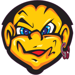 Autocollant 46 Valentino 8