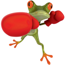 Autocollant Grenouille 1