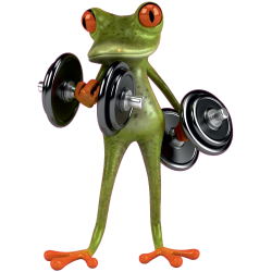 Autocollant Grenouille 2