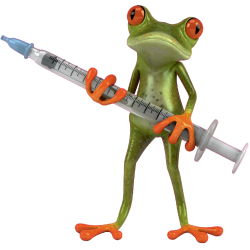 Autocollant Grenouille 7